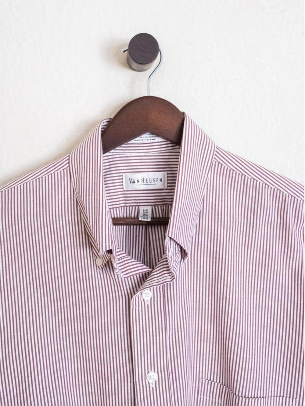 Van Heusen Burgundy Striped Button Down Shirt